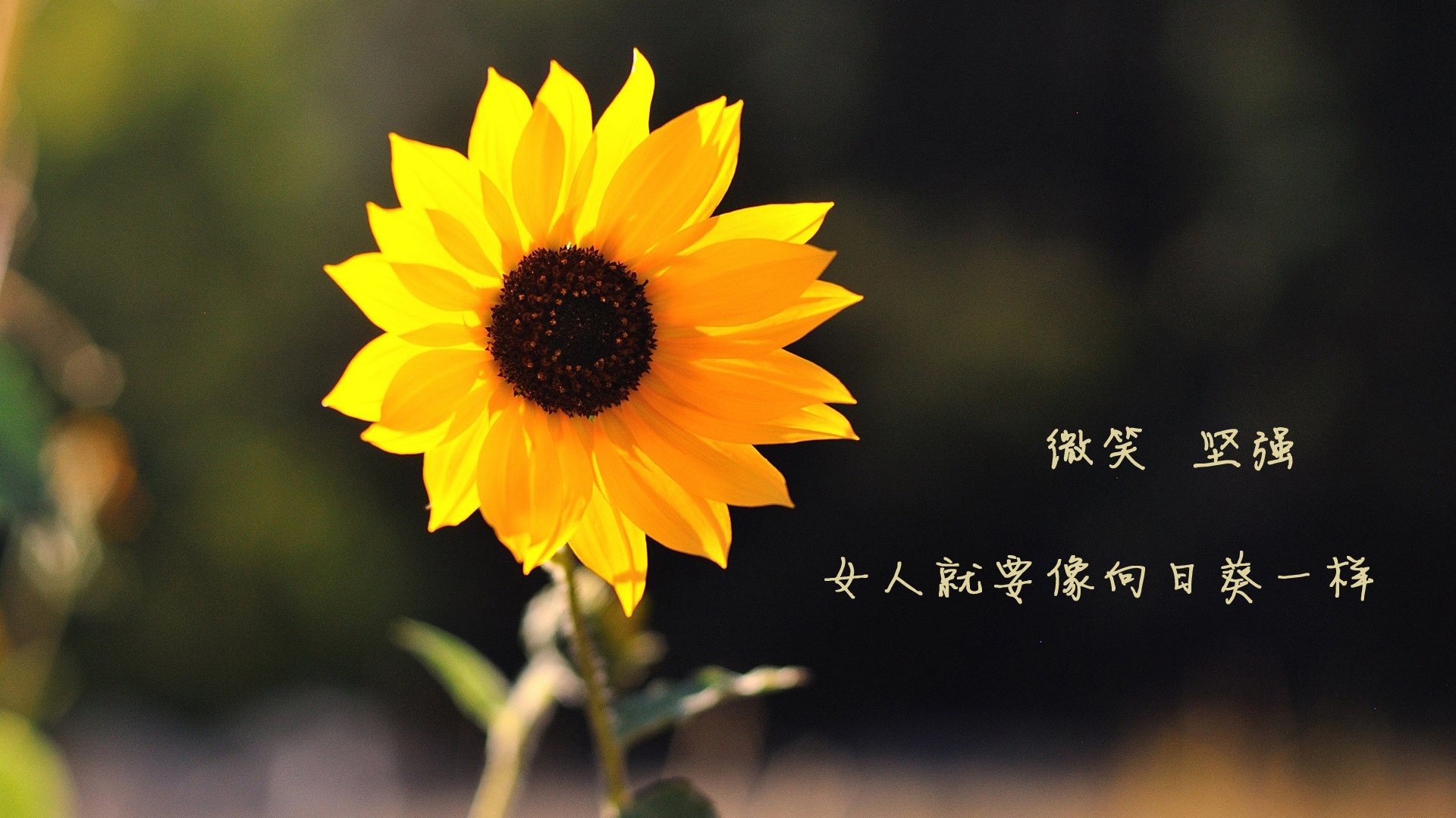 经典对决再现：那些令人怀念的“黄金对决”，电影经典对决