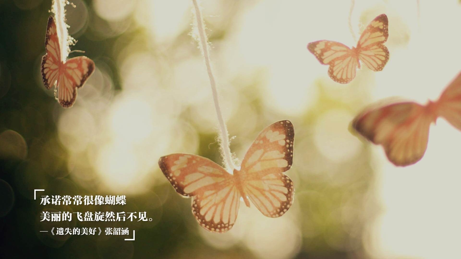 青少年足球后备人才库日益壮大，俱乐部青训体系日趋完善，青少年足球培训课程
