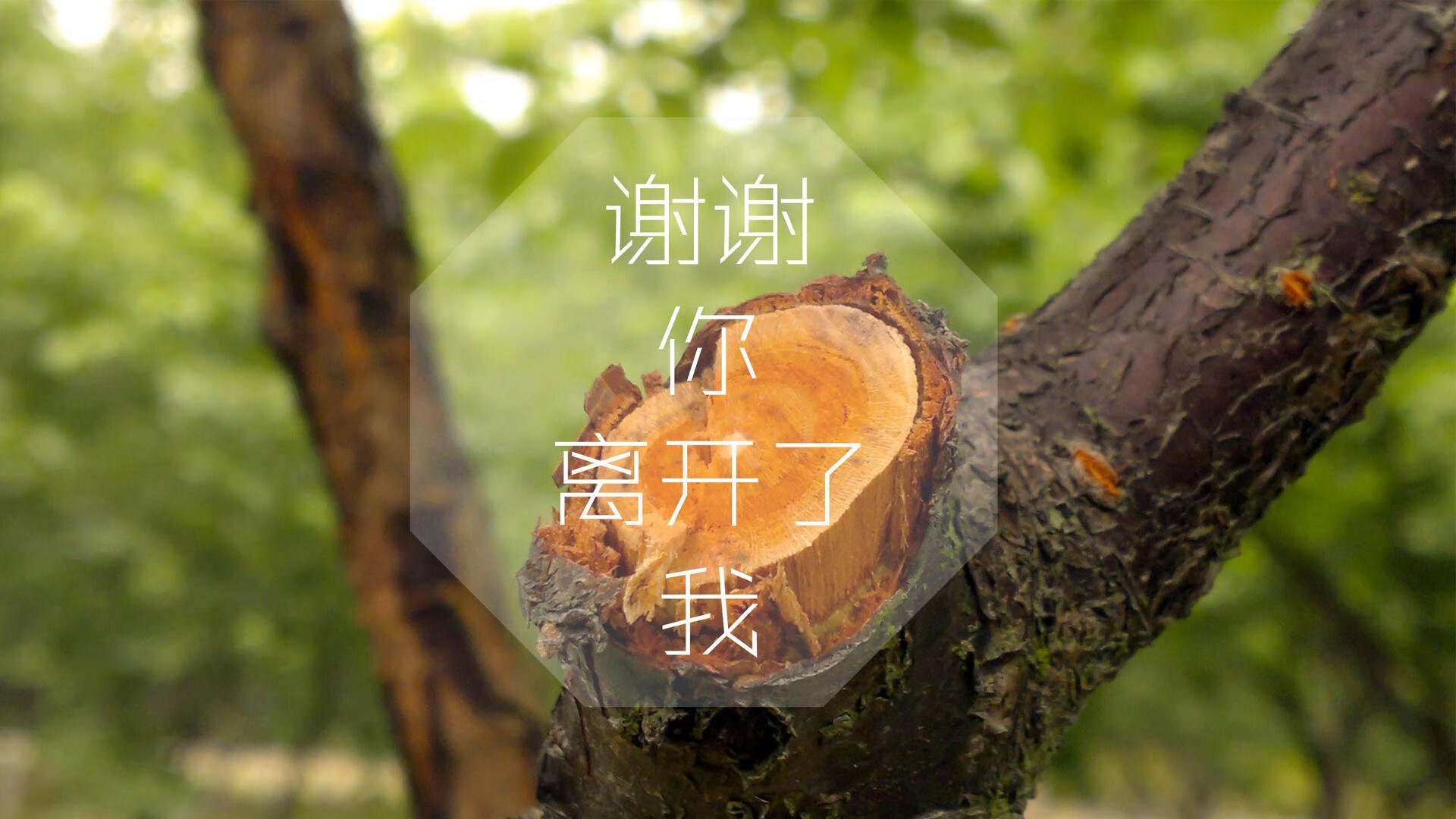 九游网页版官网-多特蒙德遭遇失利，小组形势不妙，多特蒙德现状