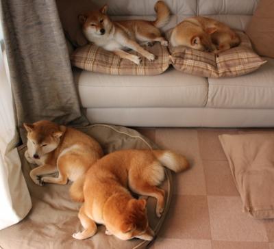 0新建场馆,成都世运“绿色办赛”太硬核了!