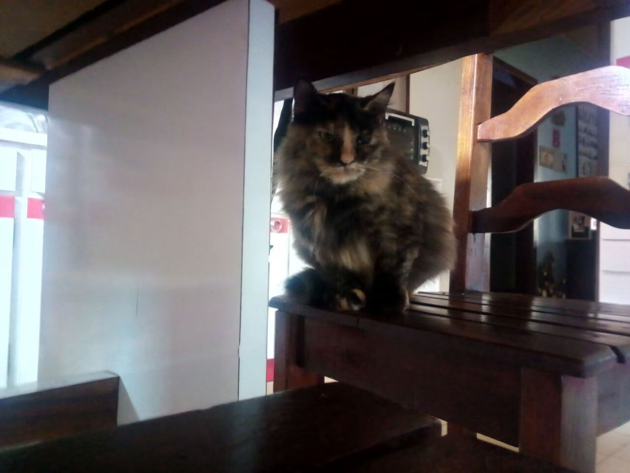 查尔莫斯：老将状态依旧火热，查尔莫斯集锦