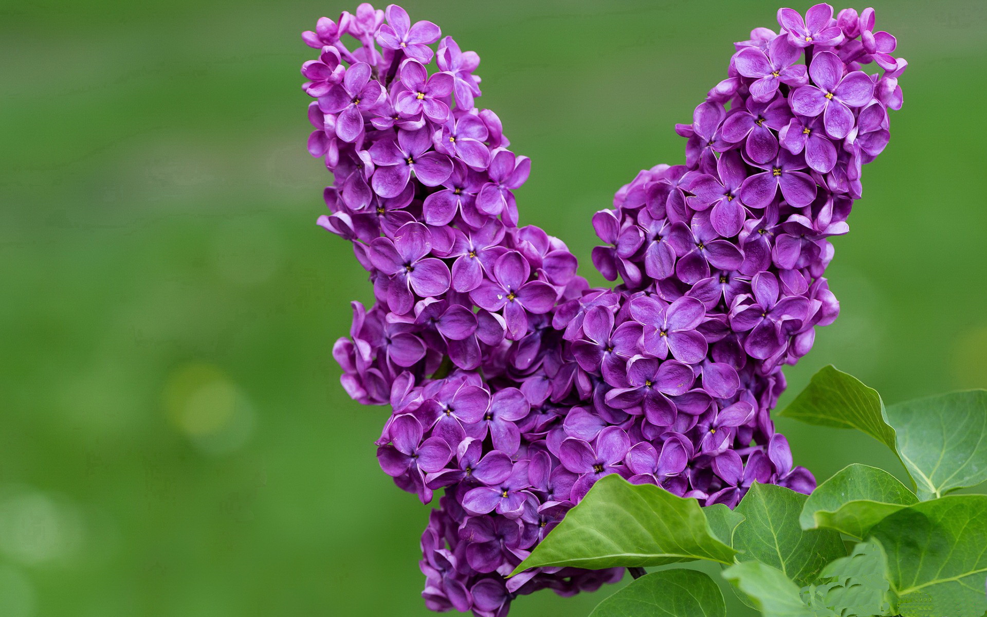 羽毛球选手专项心理辅导提升临场表现，羽毛球学员