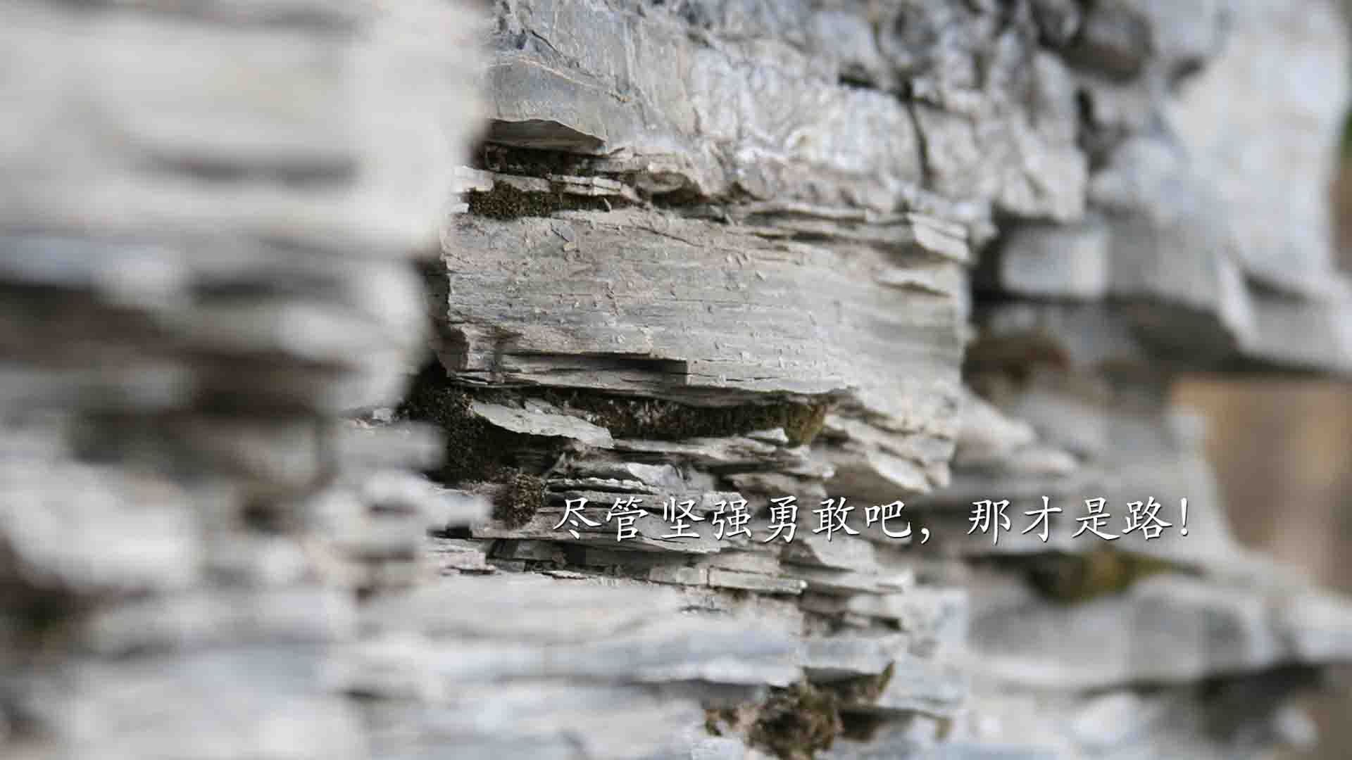 赞比亚男篮在非洲预赛中拼搏不断,迈步迈向更高巅峰,赞比亚篮球运动员